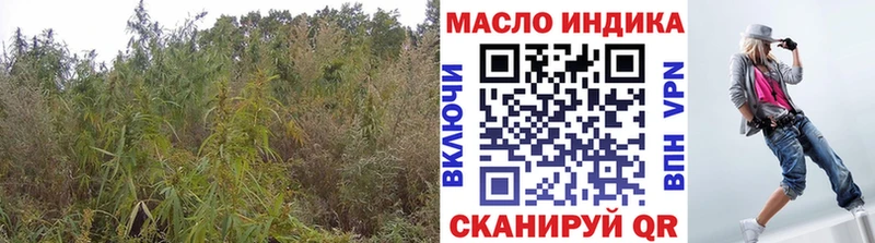 хочу наркоту  Задонск  ТГК THC oil 