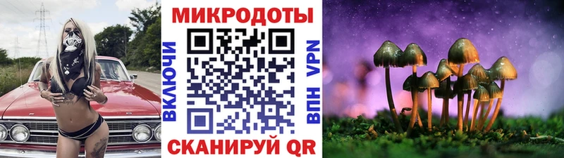 Псилоцибиновые грибы Psilocybine cubensis дарнет шоп Задонск